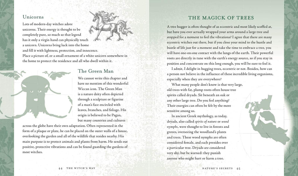 The Witch's Way: A Guide to Modern-Day Spellcraft, Nature Magick, and Divination | Books