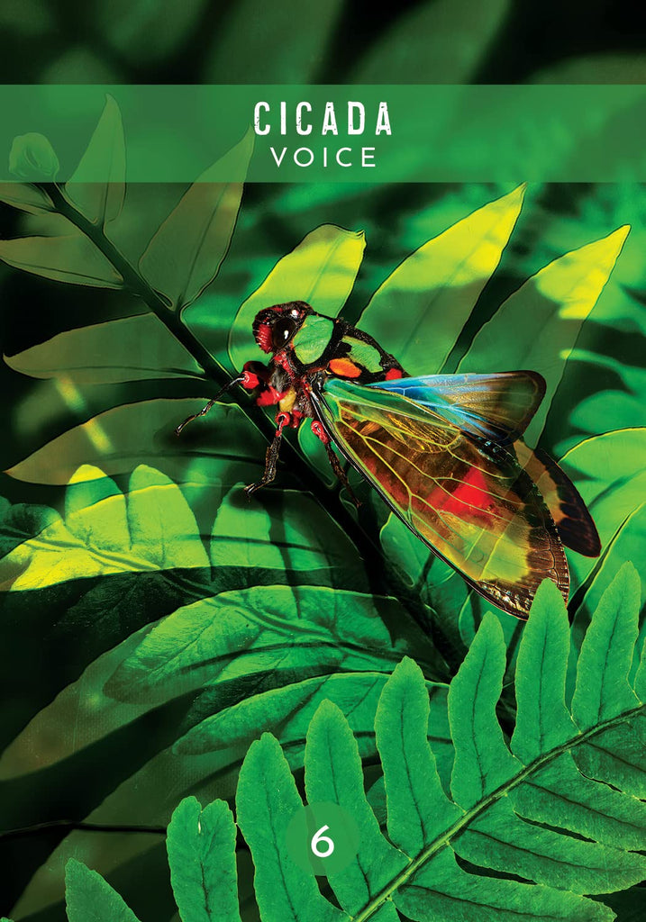 Messages From the Spirits of Nature Oracle