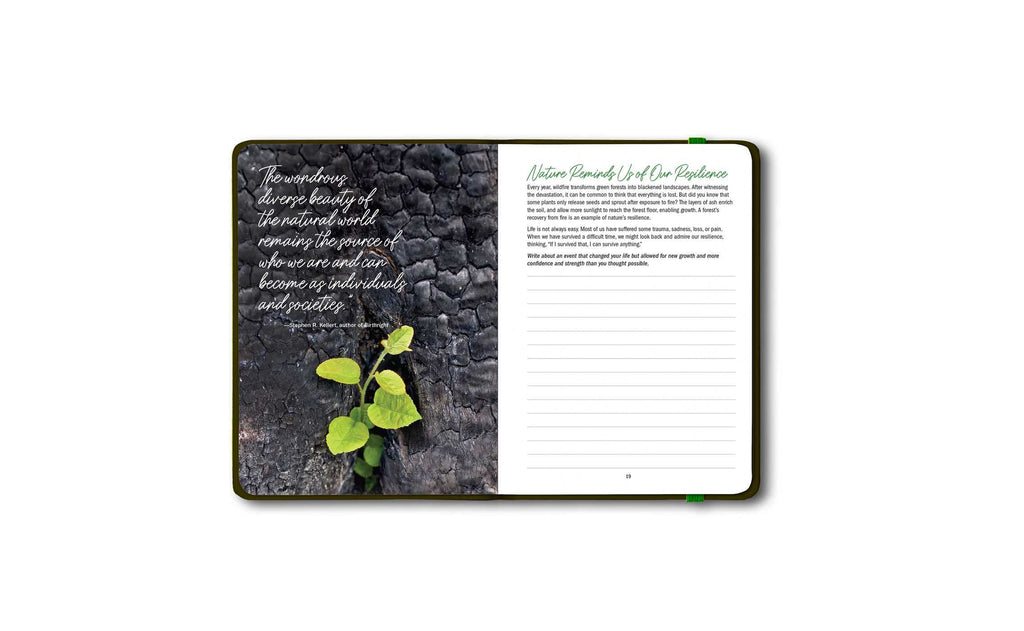 Grounded: A Guided Journal to Help You Reconnect with the Power of Nature―and Yourself