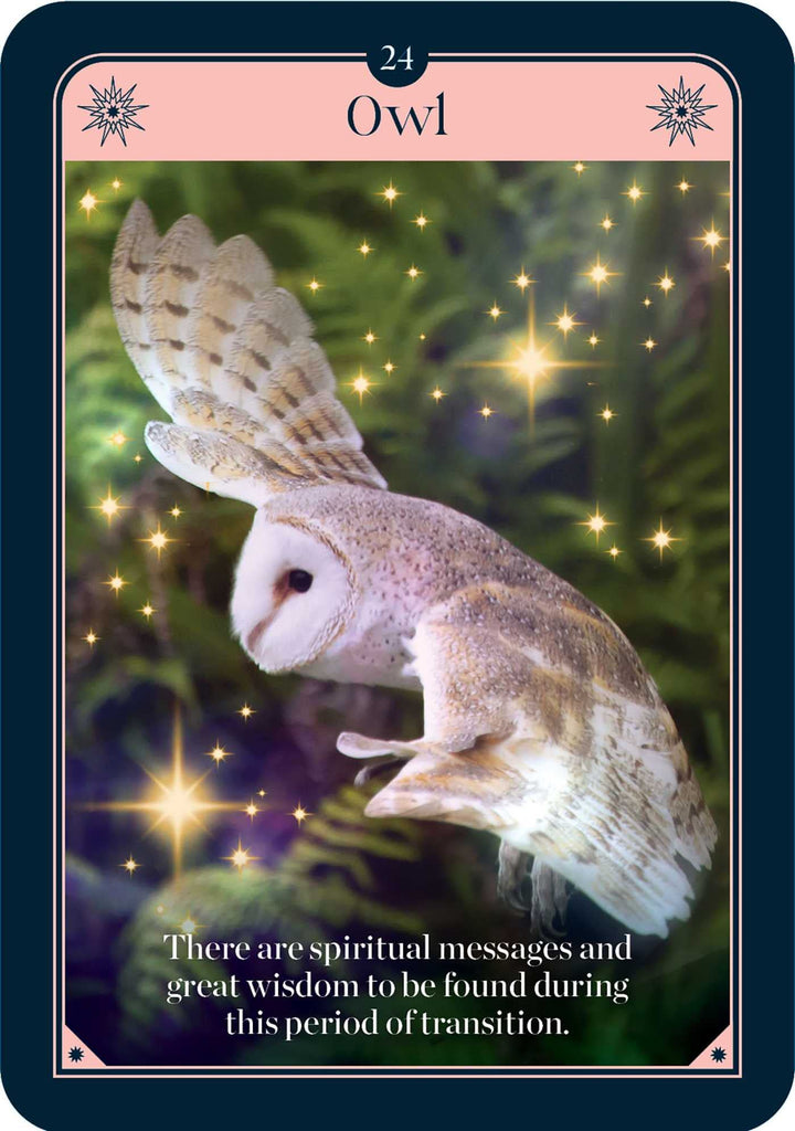 Fortune Oracle: 36 Gilded Cards and 88-Page Book