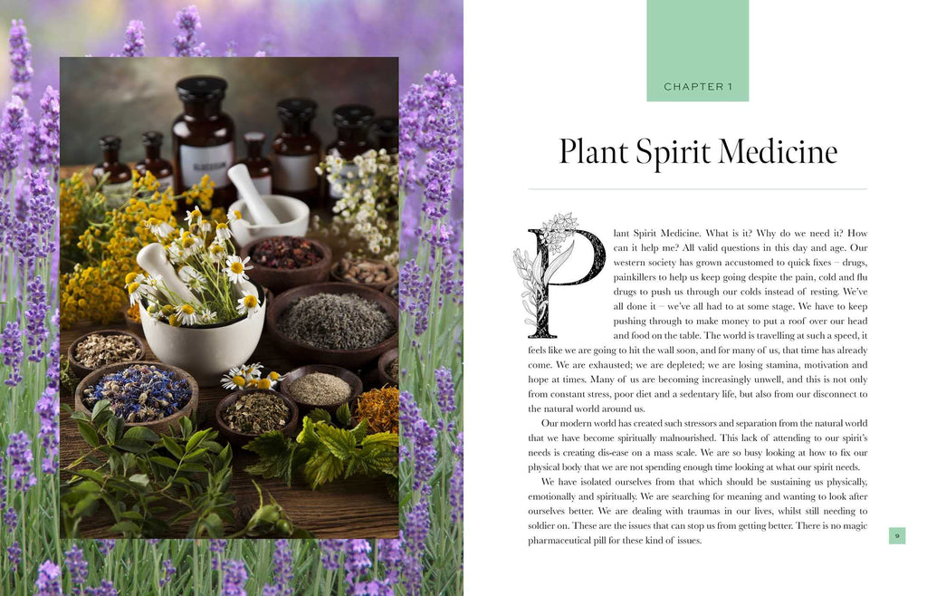 Plant Spirit Medicine: A Guide to Making Healing Products from Nature | Books