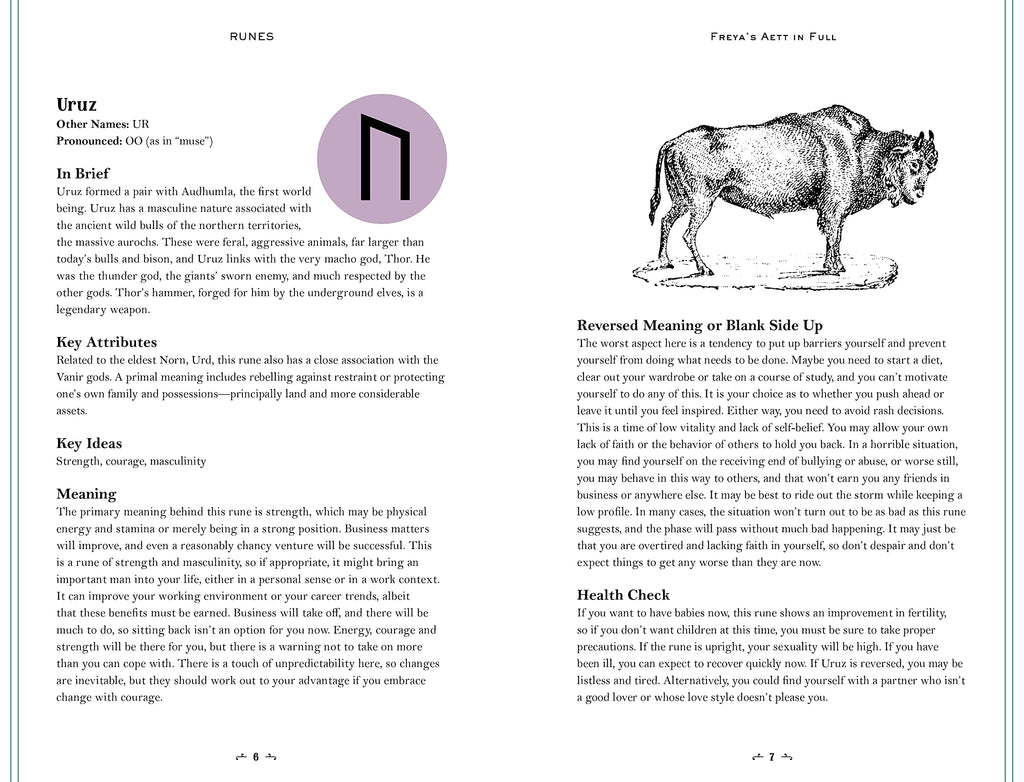 In Focus // Runes: Your Personal Guide | Our Satellite Hearts