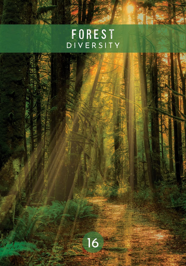 Messages From the Spirits of Nature Oracle