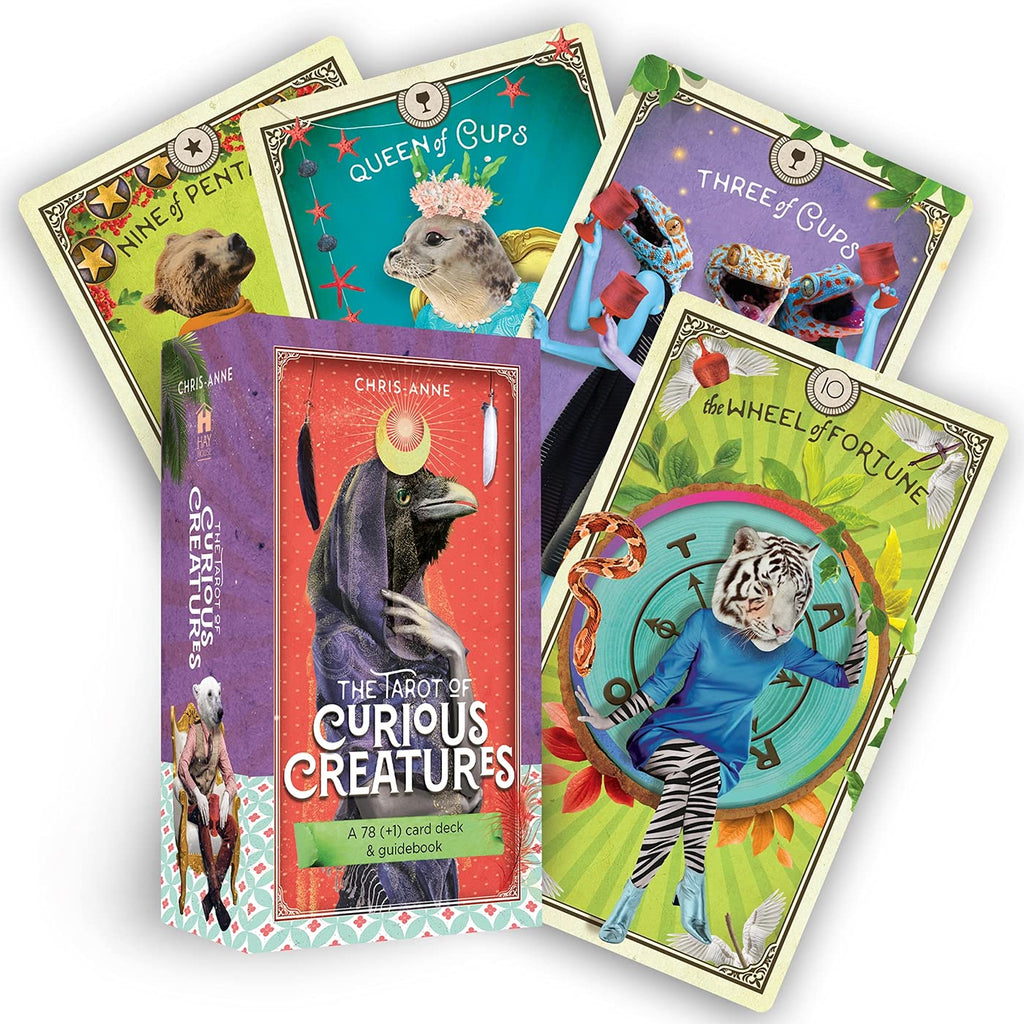 Tarot of Curious Creatures: A 78 Card Deck and Guidebook | Cards