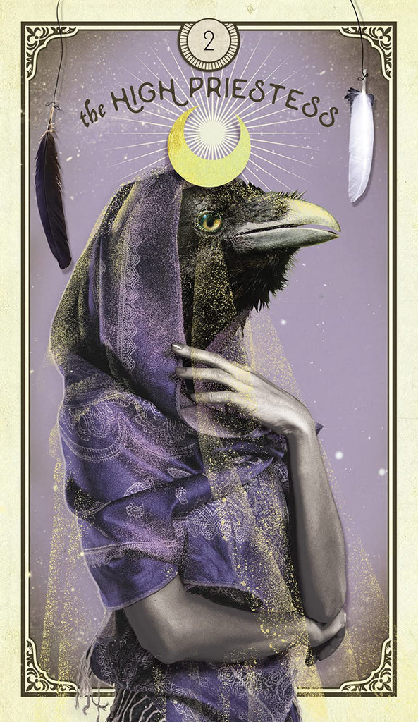 Tarot of Curious Creatures: A 78 Card Deck and Guidebook | Cards