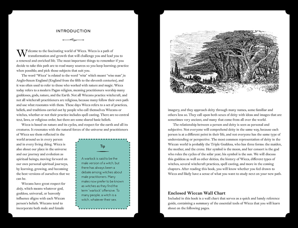 In Focus // Wicca: Your Personal Guide