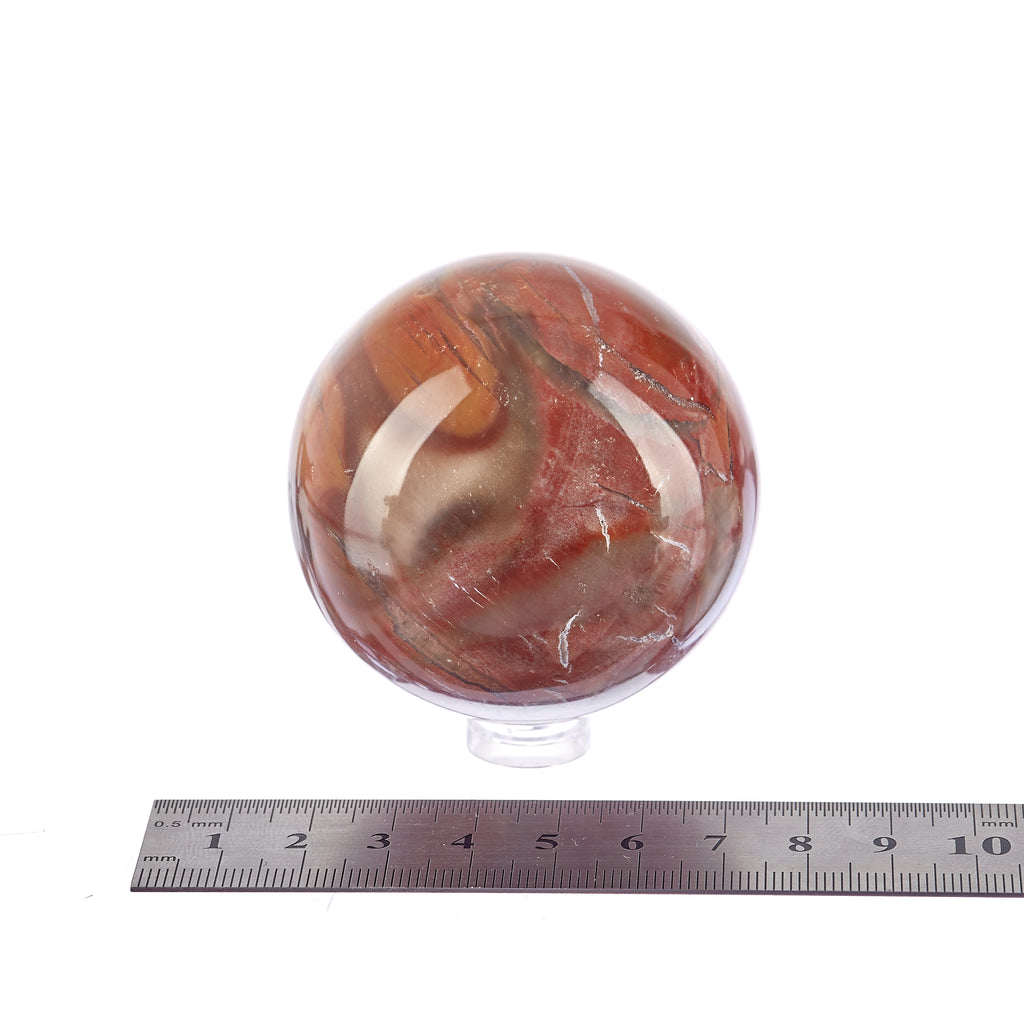 Petrified Wood Sphere #1 | Crystals