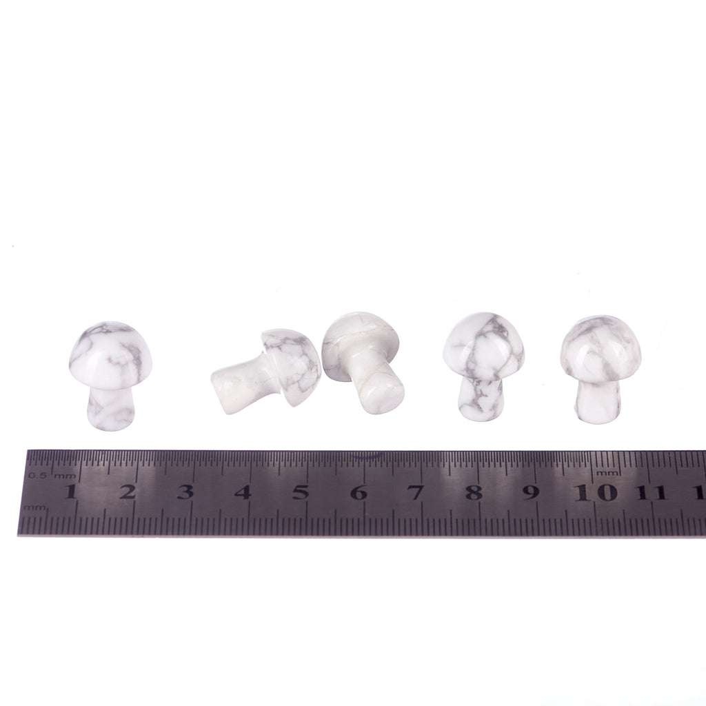 Howlite Mushroom | Crystals