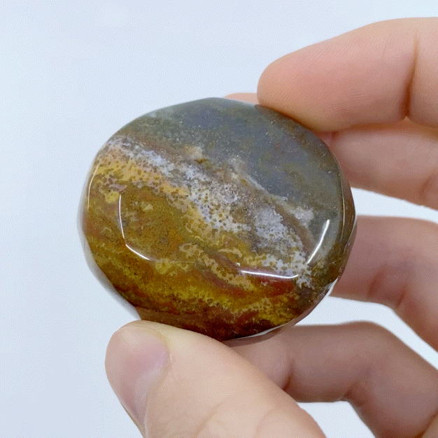 Ocean Jasper Palm Stone #26 | Crystals