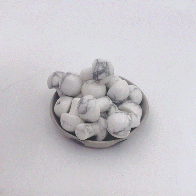 Howlite Mushroom | Crystals