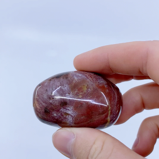 Petrified Wood Palm Stone #2 | Crystals
