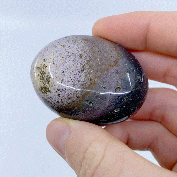 Ocean Jasper Palm Stone #22 | Crystals