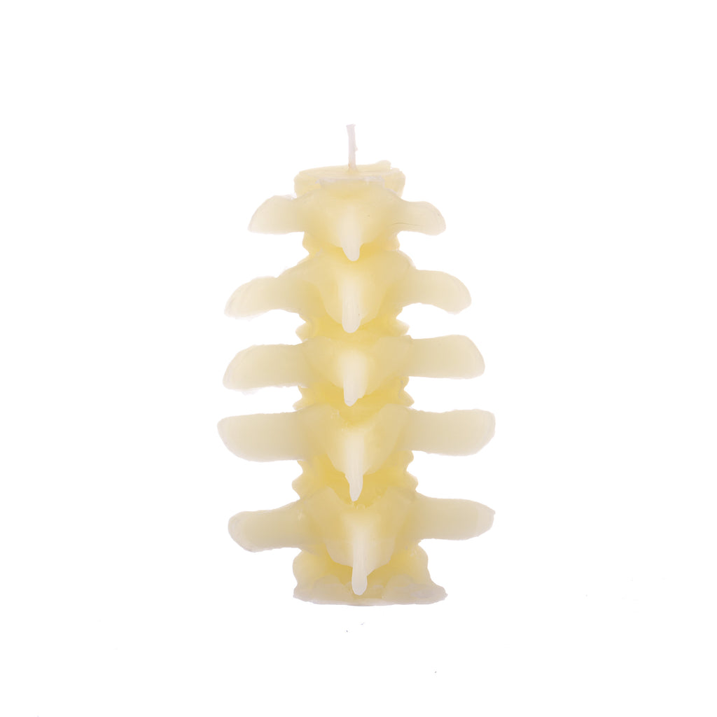 You, Me & Bones // I Got Your Back Spine Candle - White | Candles