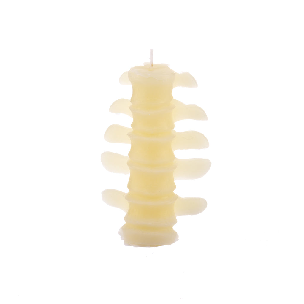 You, Me & Bones // I Got Your Back Spine Candle - White | Candles