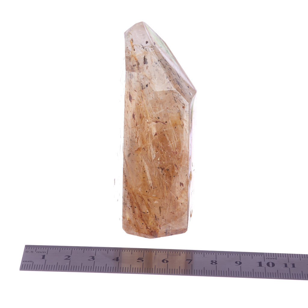 Rutilated Quartz Point #1 | Crystals