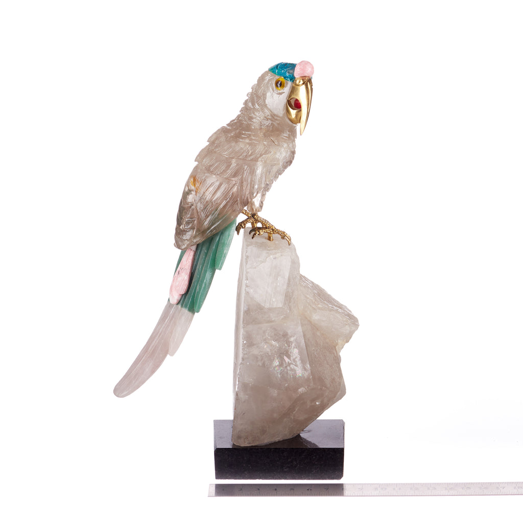 Crystal Bird // Coco