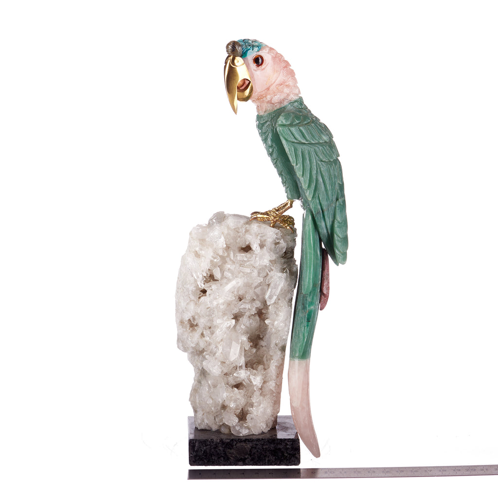 Crystal Bird // Polly