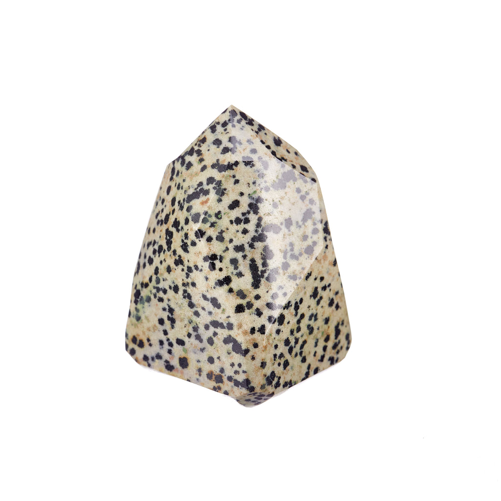 Dalmatian Jasper Point #6