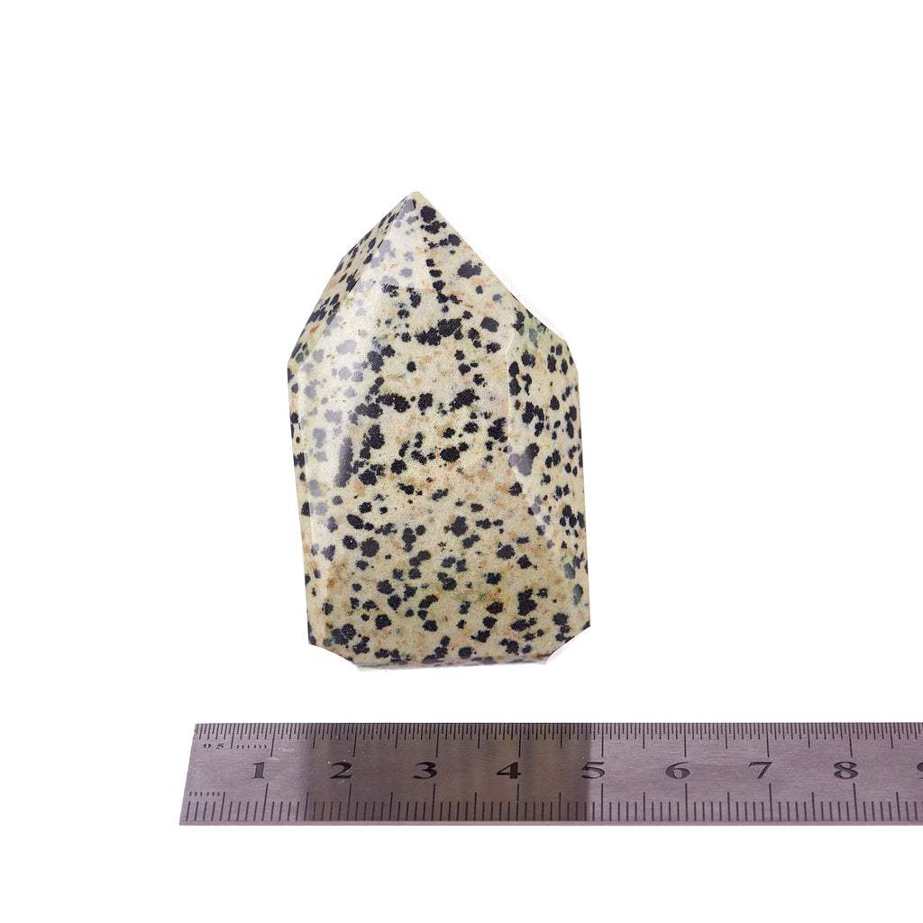 Dalmatian Jasper Point #6