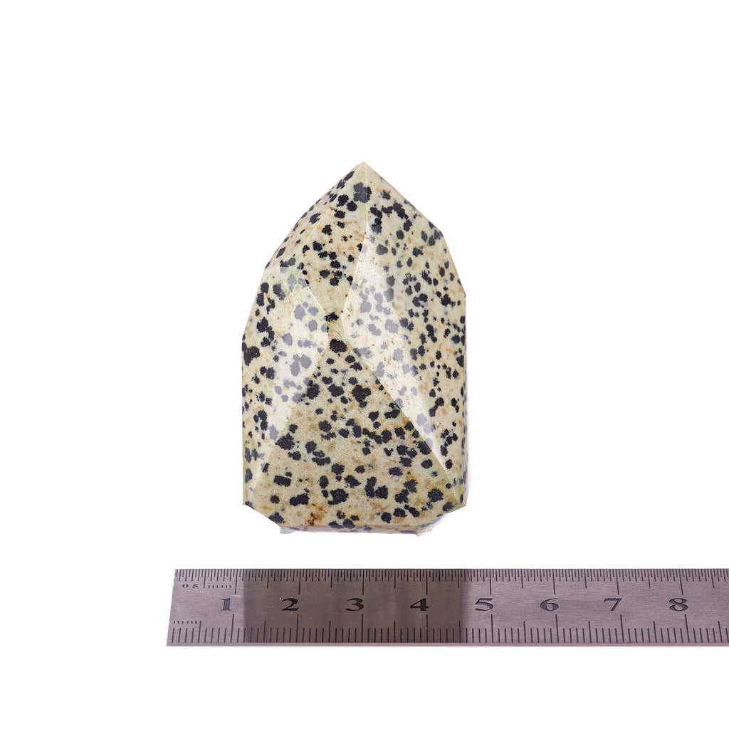 Dalmatian Jasper Point #6