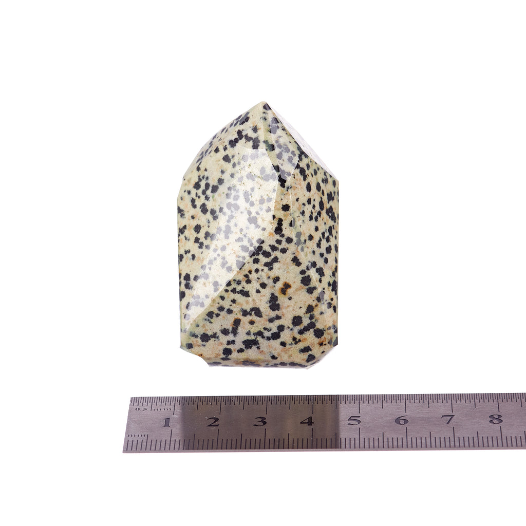 Dalmatian Jasper Point #6