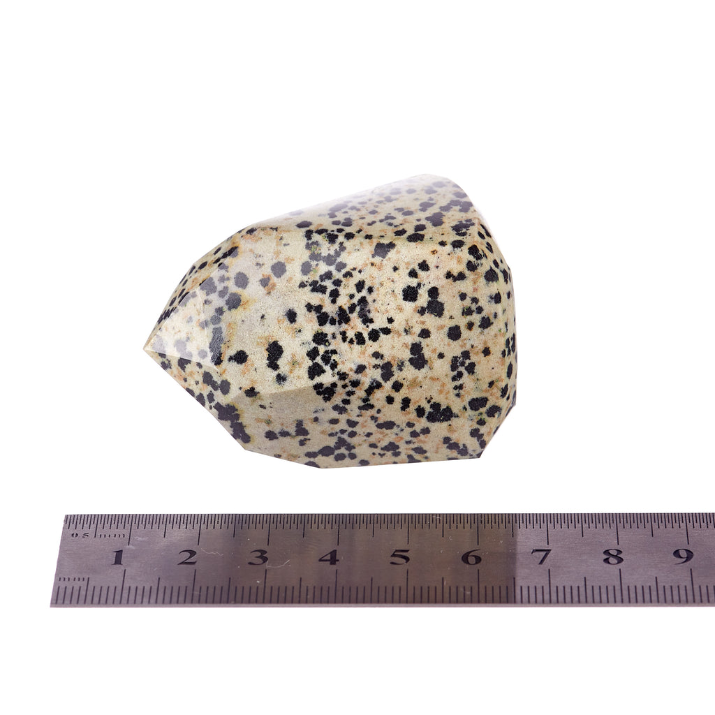 Dalmatian Jasper Point #2