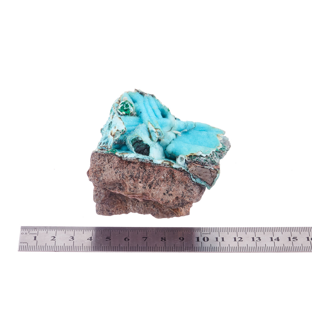 Druzy Chrysocolla & Malachite #2 | Crystals