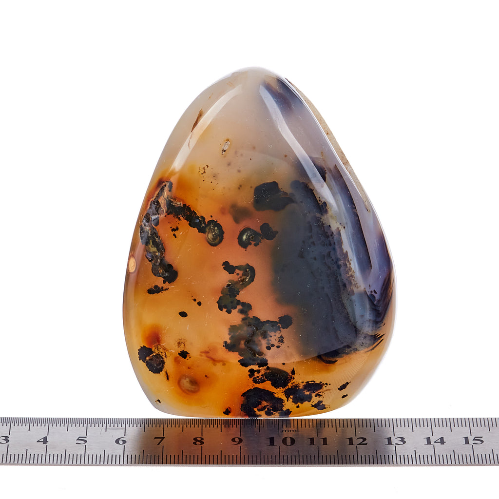 Dendritic Agate Polished #11 | Crystals