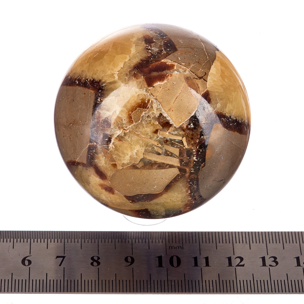 Septarian Sphere #8 | Crystals