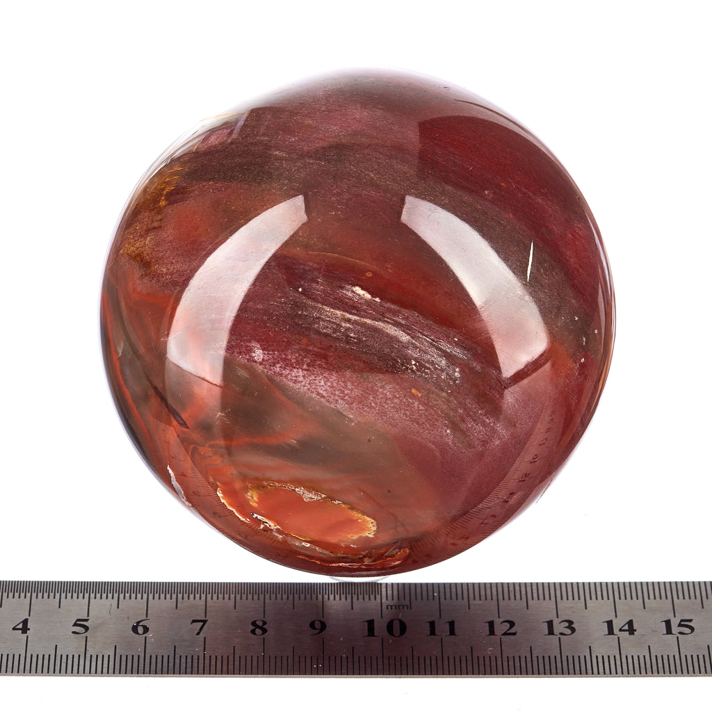 Petrified Wood Sphere #7 | Crystals