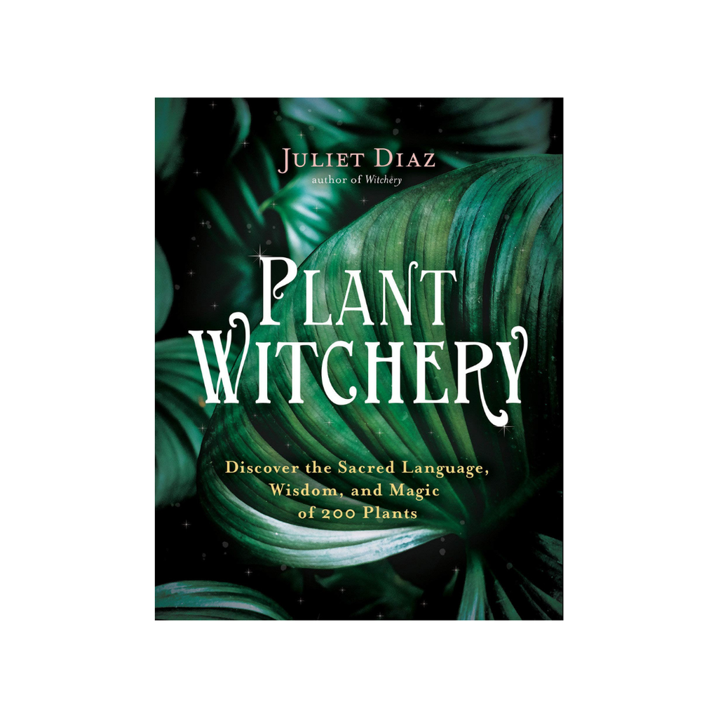 Plant Witchery: Discover the Sacred Language, Wisdom, and Magic of 200 Plants | Books