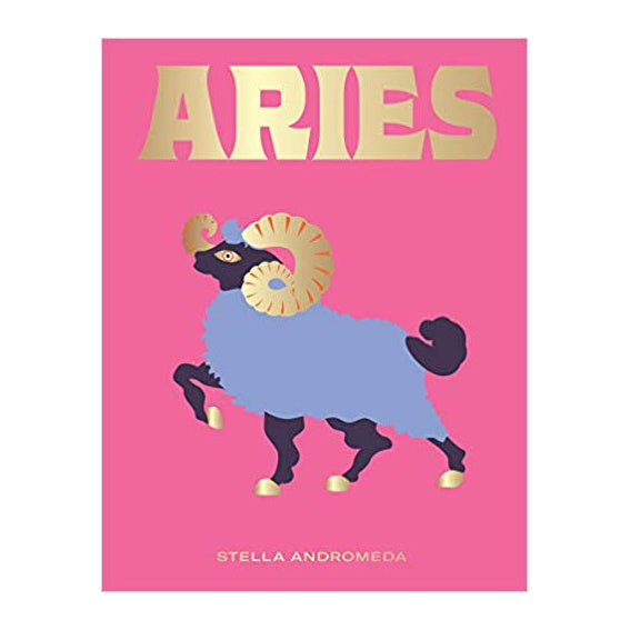 Seeing Stars // Aries Zodiac Book | Books
