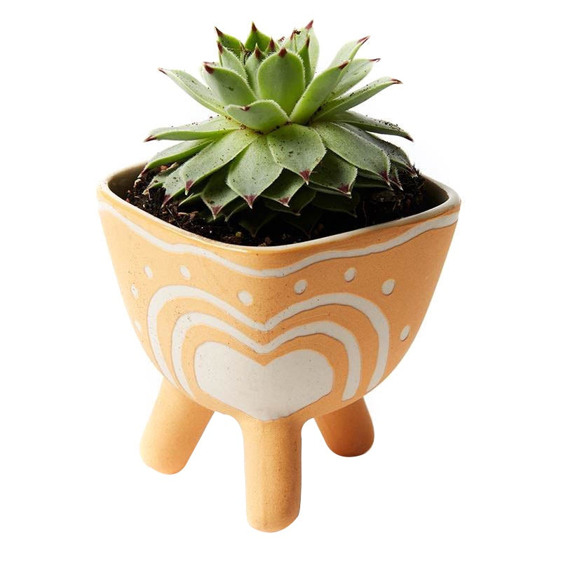 Jones & Co // Mustard Pocket Footed Planter | Jones and Co