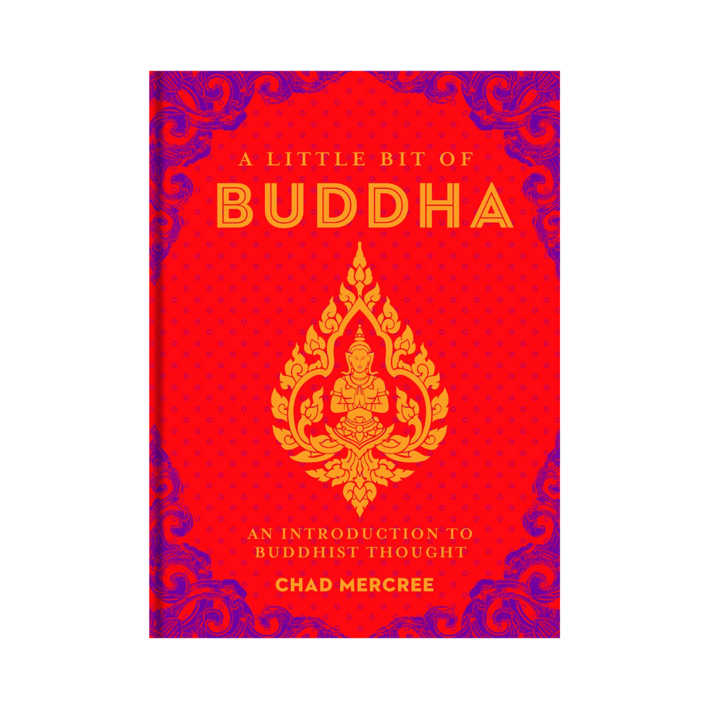 A Little Bit of Buddha: An Introduction to Buddhist Thought | Books