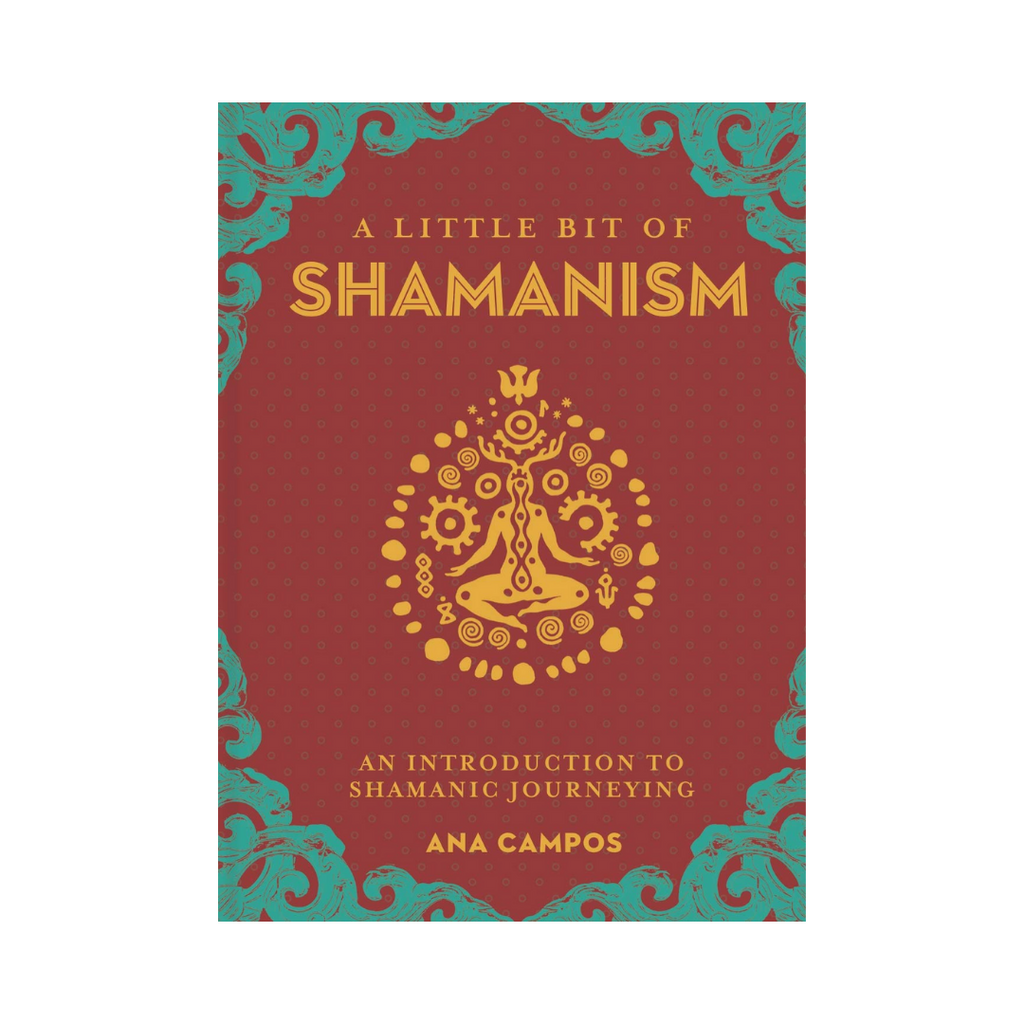A Little Bit of Shamanism: An Introduction to Shamanic Journeying | Books